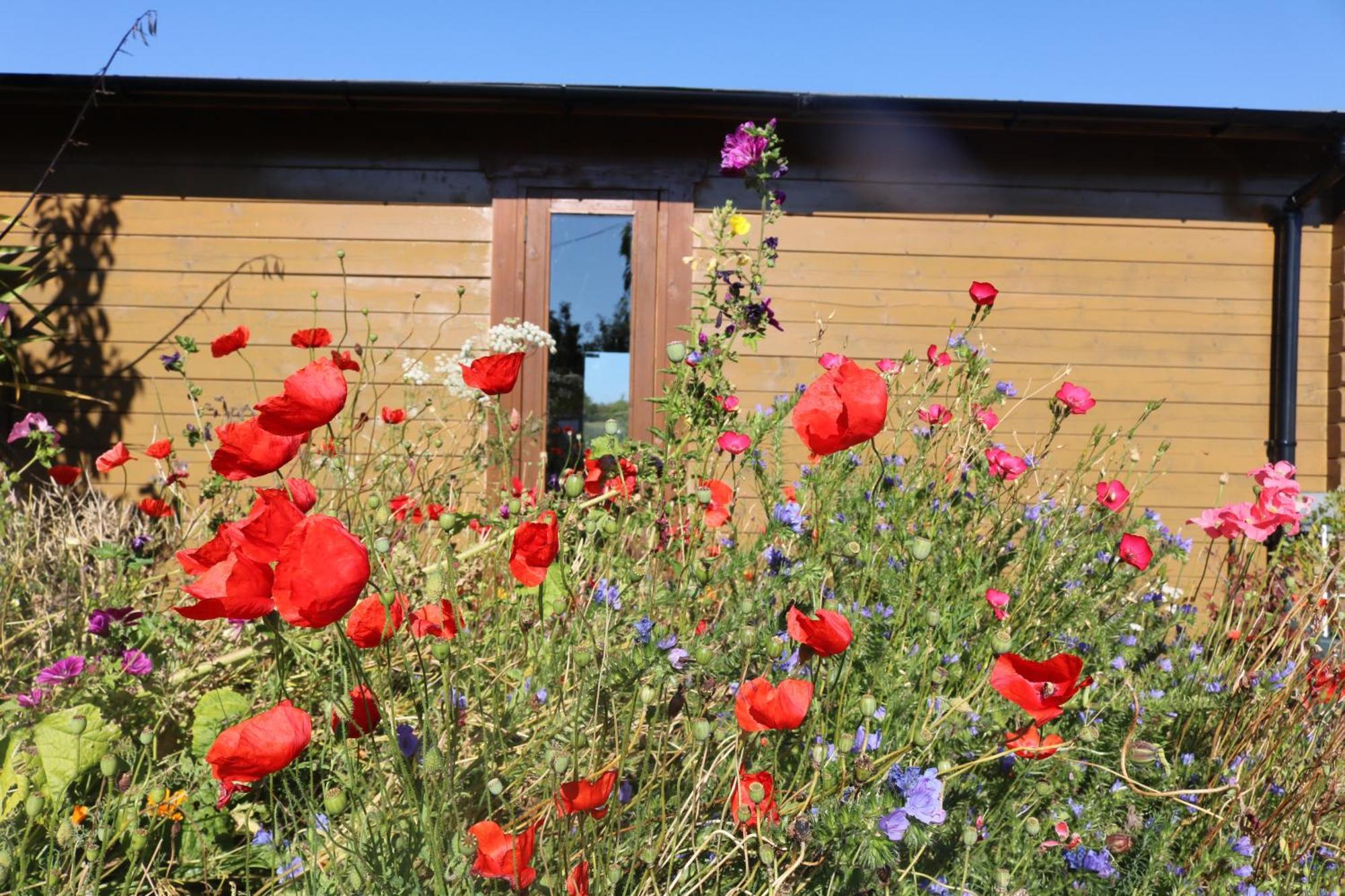 The Cabin Pipershill Newtownbutler Bagian luar foto